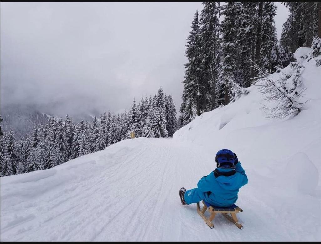 Lieblingsplatz - Ski In Und Ski Out See Zewnętrze zdjęcie
